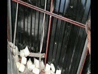 Uyuşturucu Operasyonu